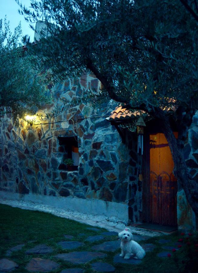 Tamajon La Casita De Leire 게스트하우스 외부 사진