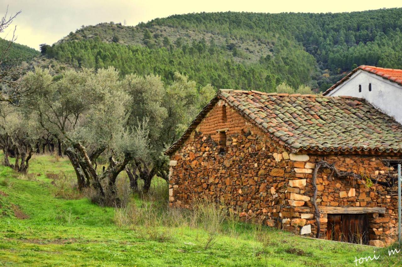 Tamajon La Casita De Leire 게스트하우스 외부 사진